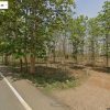 ด่วน! โอกาสทองสำหรับนักลงทุน ที่ดิน 29 ไร่ พร้อมสวนสักอายุ 12 ปี ใกล้เมืองลำพูน โทร 081-530-7997